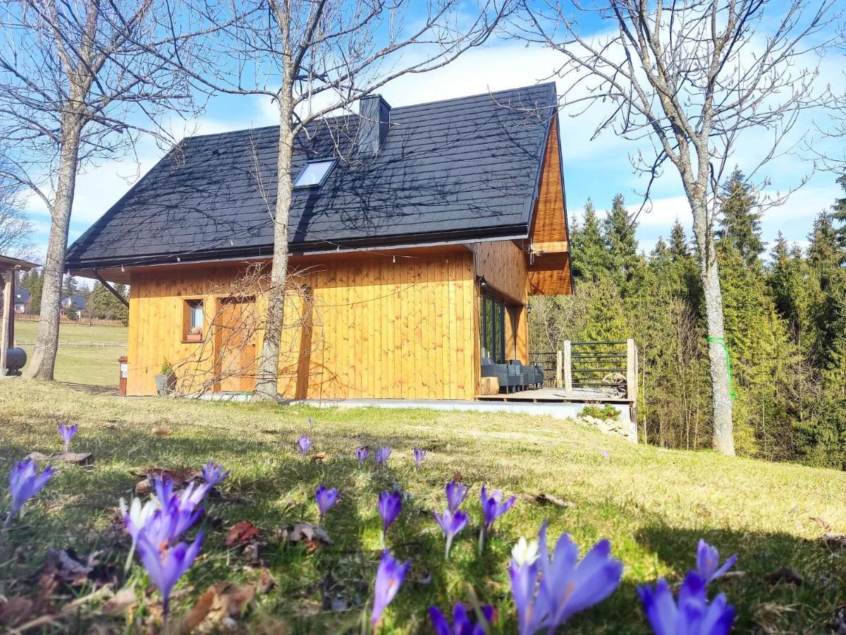 Przystanek Gorce Villa Nowy Targ Dış mekan fotoğraf